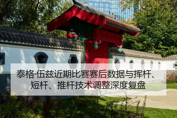 tai-ge-wu-zi-jin-qi-bi-sai-sai-hou-shu-ju-yu-hui-gan-duan-gan-tui-gan-ji-shu-tiao-zheng-shen-du-fu-pan-2-516.jpg